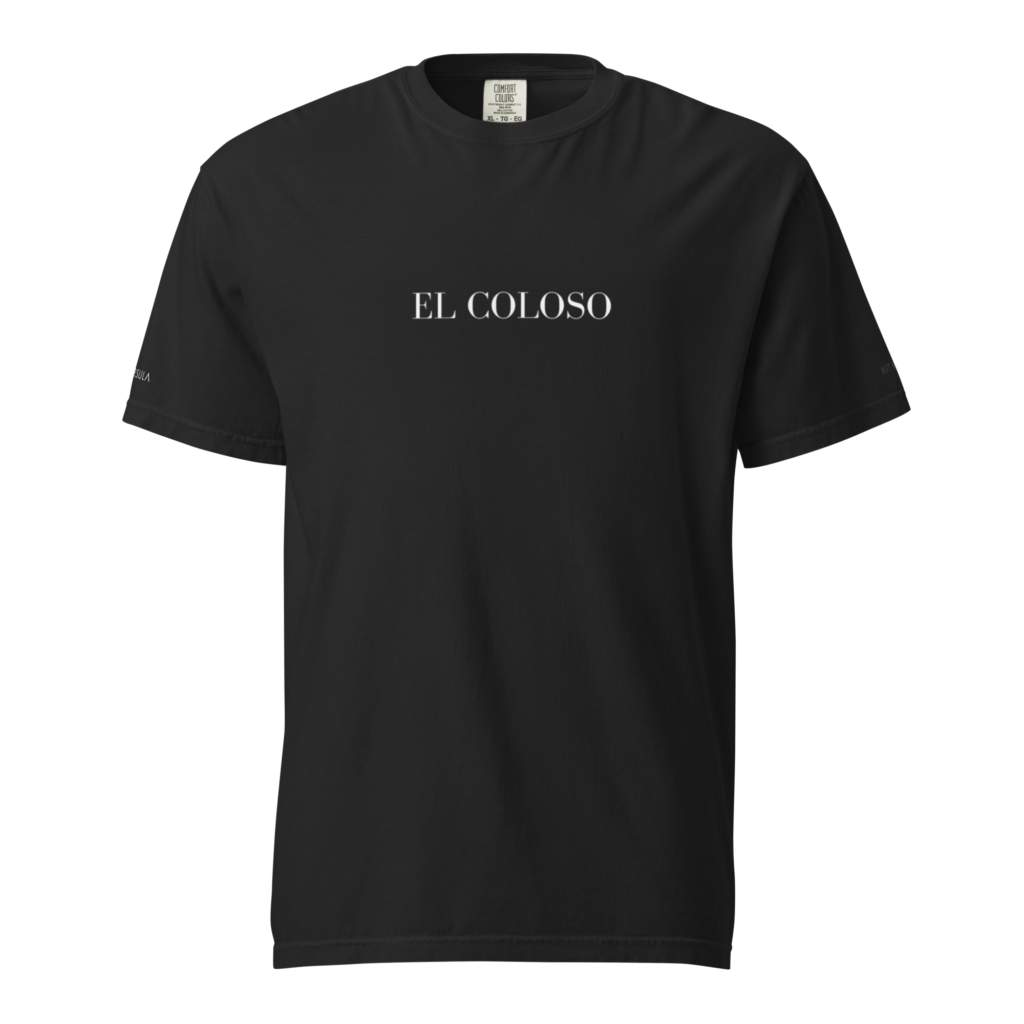 CDMX // ARCHIVE-01 : PLAYERA