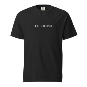 CDMX // ARCHIVE-01 : PLAYERA